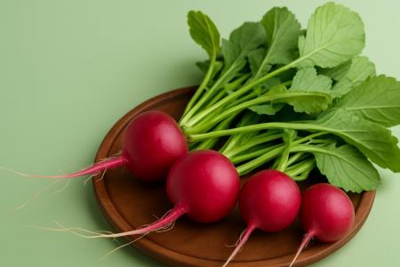 Radieschen: Vitaminbombe und Königin der Gesundheit